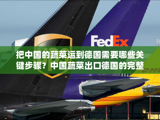 把中国的蔬菜运到德国需要哪些关键步骤？中国蔬菜出口德国的完整指南