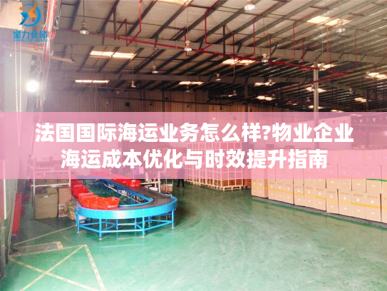 法国国际海运业务怎么样?物业企业海运成本优化与时效提升指南 法国国际海运业务怎么样?物业企业海运成本优化与时效提升指南