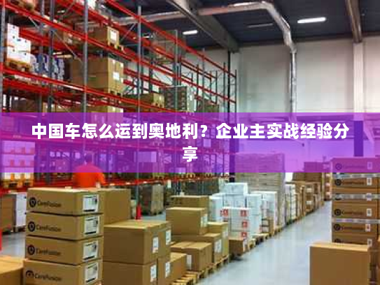 中国车怎么运到奥地利？企业主实战经验分享