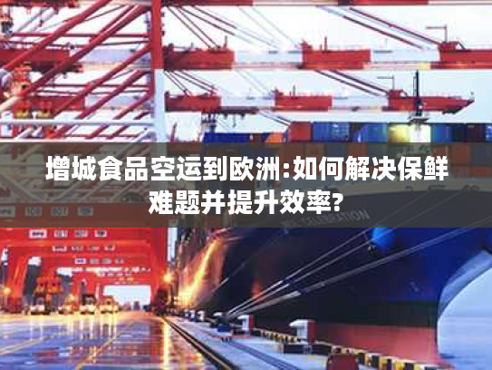增城食品空运到欧洲:如何解决保鲜难题并提升效率?