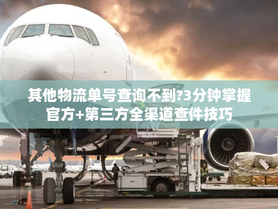 其他物流单号查询不到?3分钟掌握官方+第三方全渠道查件技巧