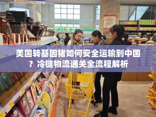 美国转基因猪如何安全运输到中国？冷链物流通关全流程解析