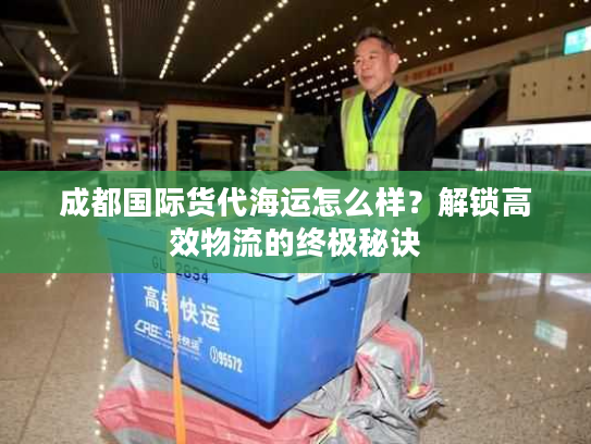 成都国际货代海运怎么样？解锁高效物流的终极秘诀