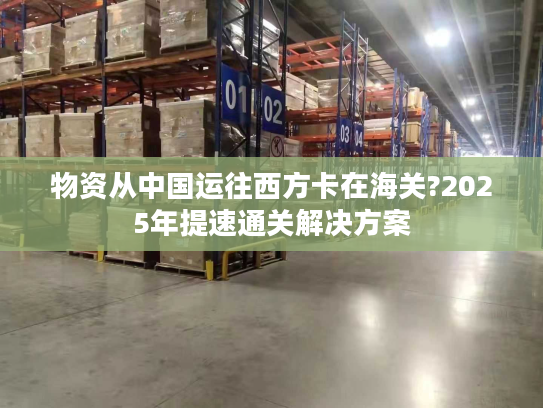 物资从中国运往西方卡在海关?2025年提速通关解决方案