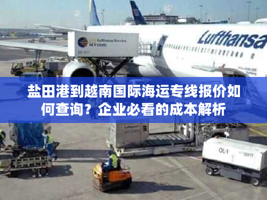 盐田港到越南国际海运专线报价如何查询?企业必看的成本解析 盐田港到越南国际海运专线报价如何查询?企业必看的成本解析