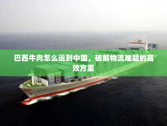 巴西牛肉怎么运到中国，破解物流难题的高效方案