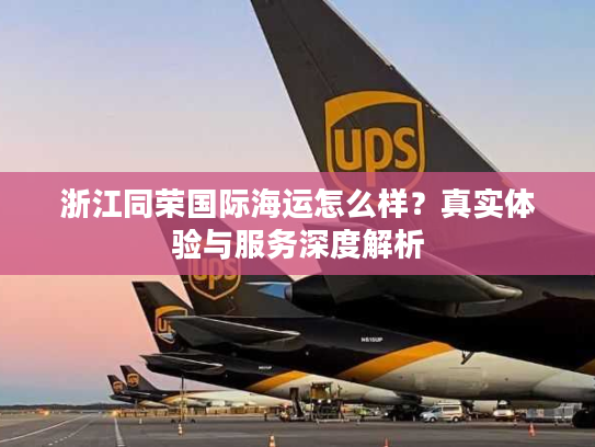 浙江同荣国际海运怎么样？真实体验与服务深度解析