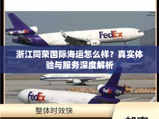 浙江同荣国际海运怎么样？真实体验与服务深度解析