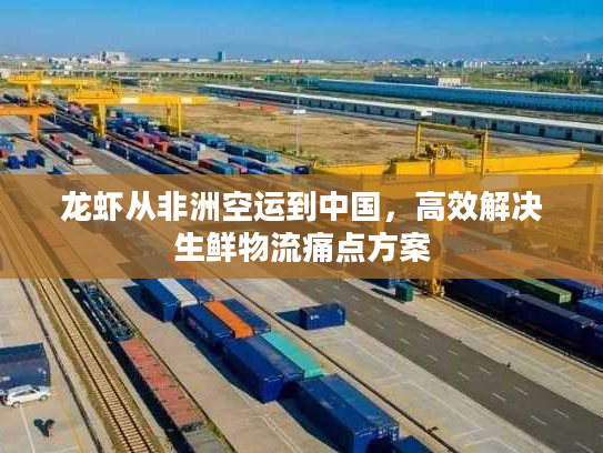 龙虾从非洲空运到中国，高效解决生鲜物流痛点方案