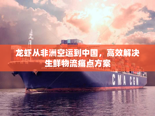 龙虾从非洲空运到中国，高效解决生鲜物流痛点方案