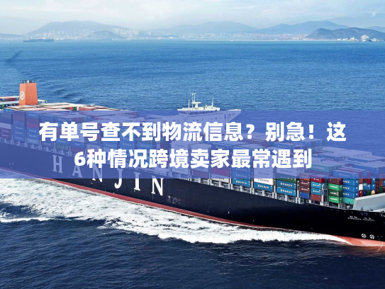 有单号查不到物流信息？别急！这6种情况跨境卖家最常遇到