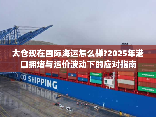 太仓现在国际海运怎么样?2025年港口拥堵与运价波动下的应对指南