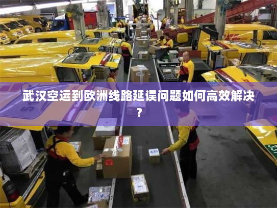 武汉空运到欧洲线路延误问题如何高效解决？