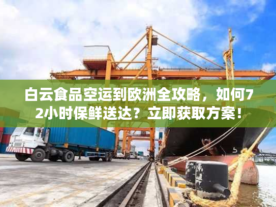 白云食品空运到欧洲全攻略，如何72小时保鲜送达？立即获取方案！