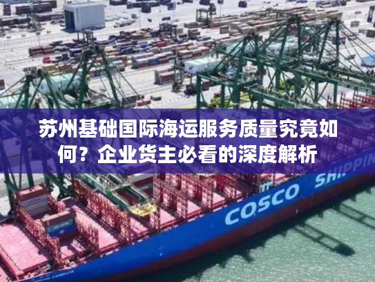 苏州基础国际海运服务质量究竟如何？企业货主必看的深度解析