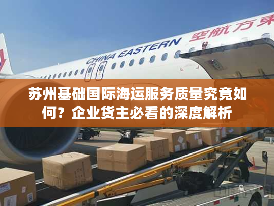 苏州基础国际海运服务质量究竟如何？企业货主必看的深度解析