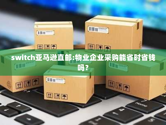 switch亚马逊直邮:物业企业采购能省时省钱吗？