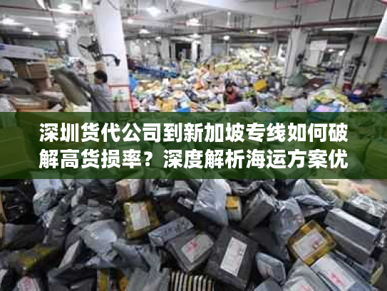 深圳货代公司到新加坡专线如何破解高货损率？深度解析海运方案优化