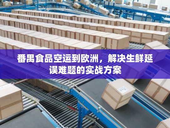 番禺食品空运到欧洲，解决生鲜延误难题的实战方案