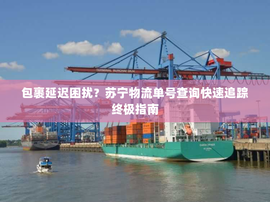 包裹延迟困扰?苏宁物流单号查询快速追踪终极指南 包裹延迟困扰?苏宁物流单号查询快速追踪终极指南