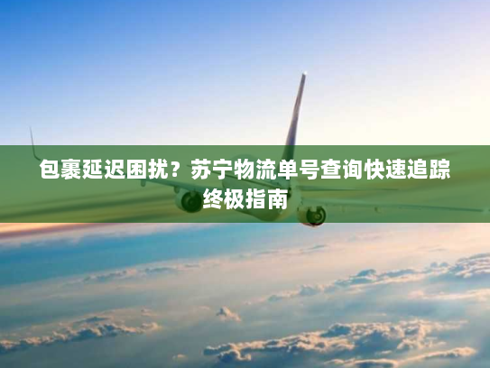 包裹延迟困扰?苏宁物流单号查询快速追踪终极指南 包裹延迟困扰?苏宁物流单号查询快速追踪终极指南