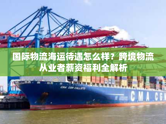 国际物流海运待遇怎么样？跨境物流从业者薪资福利全解析