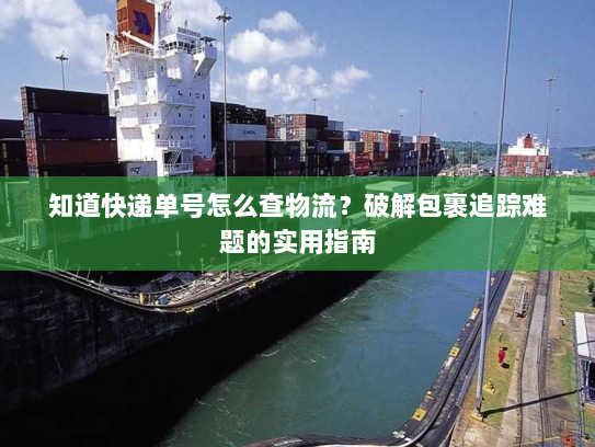 知道快递单号怎么查物流？破解包裹追踪难题的实用指南