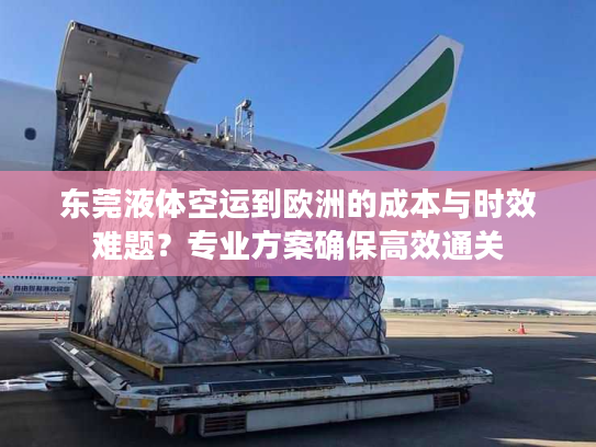 东莞液体空运到欧洲的成本与时效难题？专业方案确保高效通关