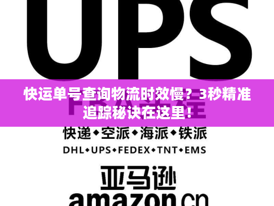 快运单号查询物流时效慢？3秒精准追踪秘诀在这里！