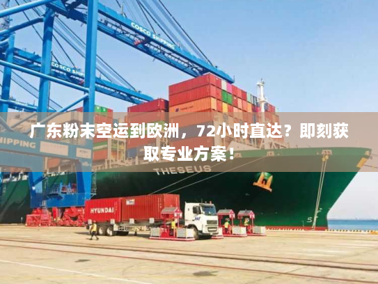 广东粉末空运到欧洲，72小时直达？即刻获取专业方案！