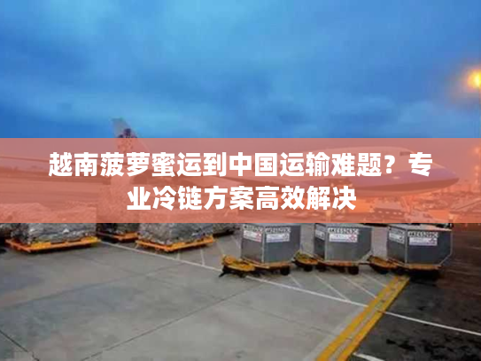越南菠萝蜜运到中国运输难题？专业冷链方案高效解决