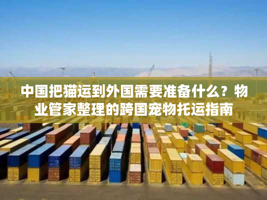 中国把猫运到外国需要准备什么？物业管家整理的跨国宠物托运指南