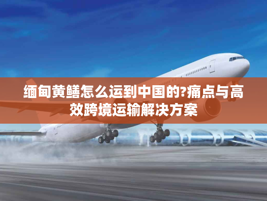 缅甸黄鳝怎么运到中国的?痛点与高效跨境运输解决方案 缅甸黄鳝怎么运到中国的?痛点与高效跨境运输解决方案