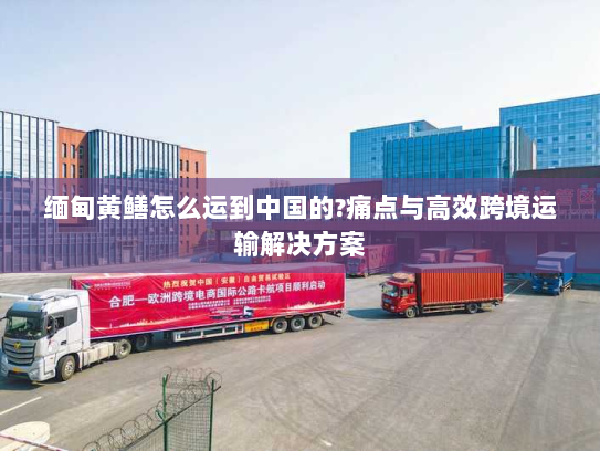 缅甸黄鳝怎么运到中国的?痛点与高效跨境运输解决方案