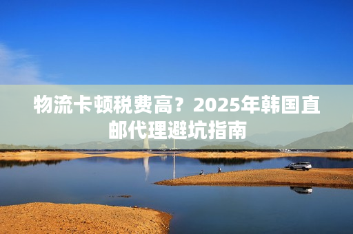 物流卡顿税费高？2025年韩国直邮代理避坑指南
