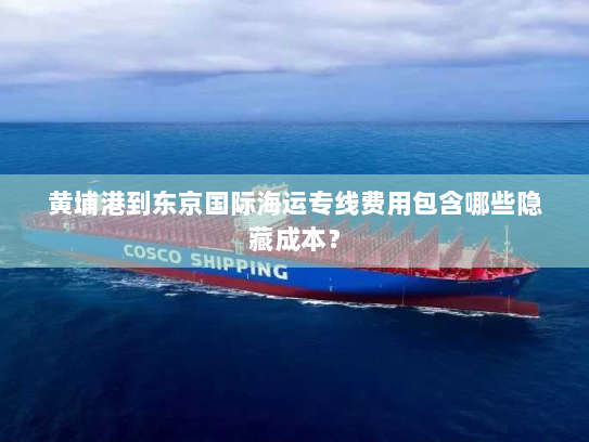 黄埔港到东京国际海运专线费用包含哪些隐藏成本？