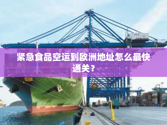 紧急食品空运到欧洲地址怎么最快通关? 紧急食品空运到欧洲地址怎么最快通关?