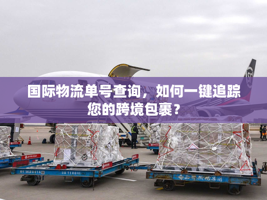 国际物流单号查询，如何一键追踪您的跨境包裹？