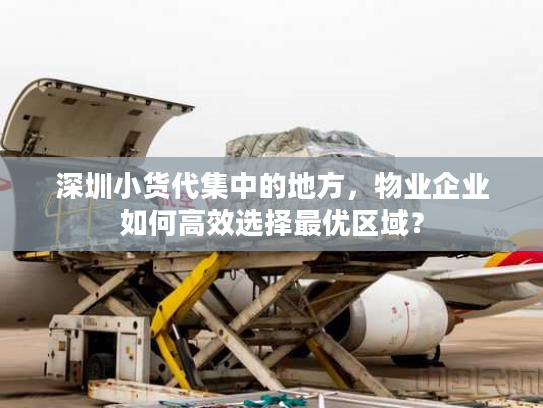 深圳小货代集中的地方，物业企业如何高效选择最优区域？