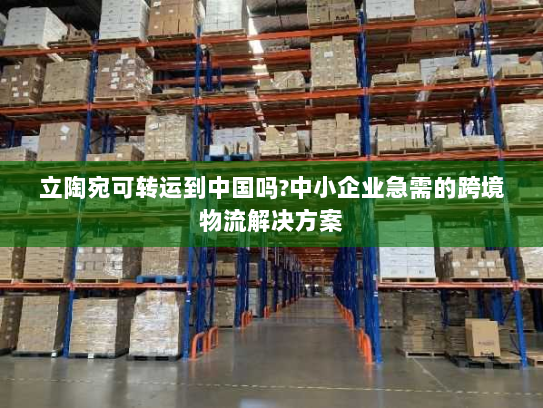 立陶宛可转运到中国吗?中小企业急需的跨境物流解决方案