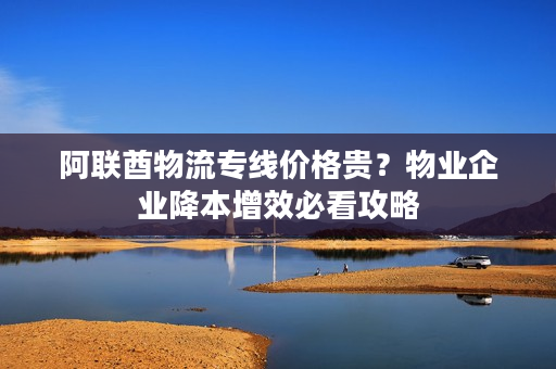 阿联酋物流专线价格贵？物业企业降本增效必看攻略
