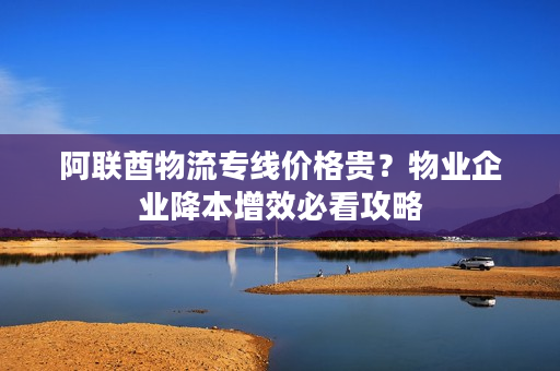 阿联酋物流专线价格贵？物业企业降本增效必看攻略