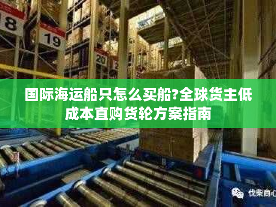 国际海运船只怎么买船?全球货主低成本直购货轮方案指南