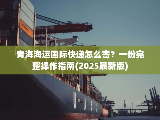 青海海运国际快递怎么寄?一份完整操作指南(2025最新版) 青海海运国际快递怎么寄?一份完整操作指南(2025最新版)