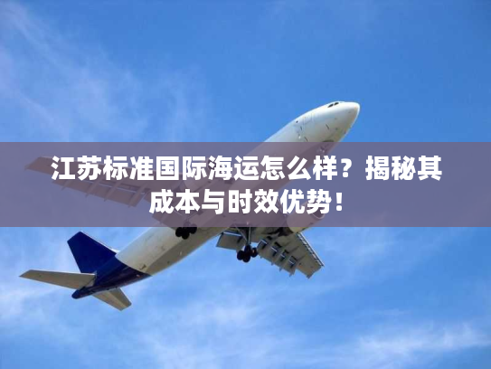 江苏标准国际海运怎么样？揭秘其成本与时效优势！