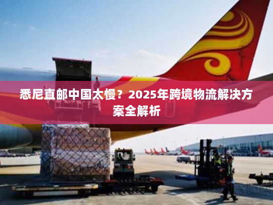 悉尼直邮中国太慢？2025年跨境物流解决方案全解析