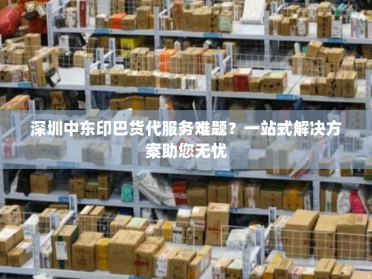 深圳中东印巴货代服务难题？一站式解决方案助您无忧