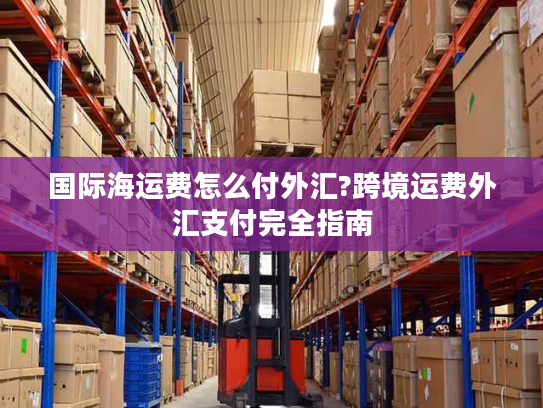 国际海运费怎么付外汇?跨境运费外汇支付完全指南