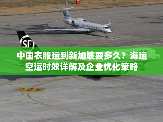 中国衣服运到新加坡要多久？海运空运时效详解及企业优化策略