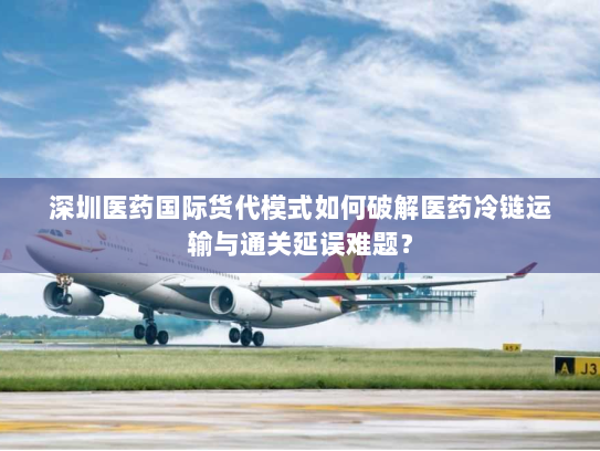 深圳医药国际货代模式如何破解医药冷链运输与通关延误难题? 深圳医药国际货代模式如何破解医药冷链运输与通关延误难题?